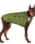 Doberman Pinscher Tummy Warmer