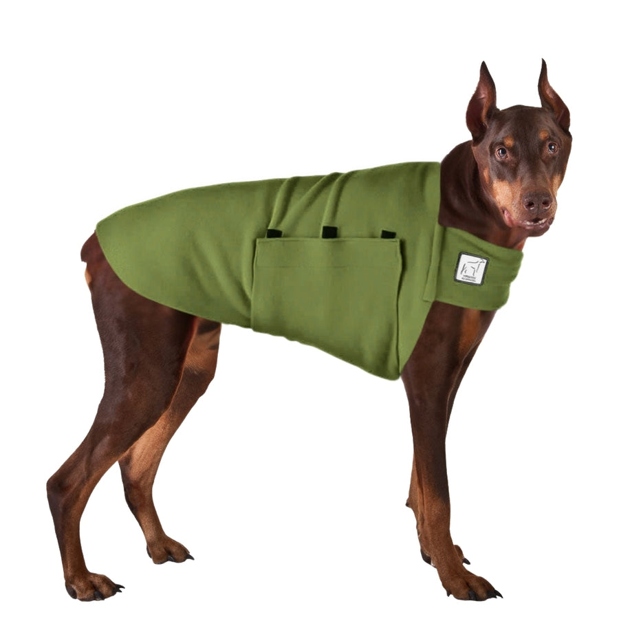 Doberman Pinscher Tummy Warmer