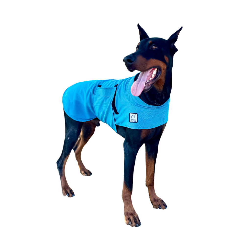 Doberman Pinscher Cooling Coat