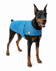Doberman Pinscher Cooling Coat