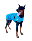 Doberman Pinscher Cooling Coat