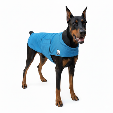 Doberman Pinscher Cooling Coat