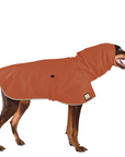 Doberman Pinscher Raincoat