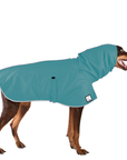 Doberman Pinscher Raincoat