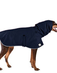 Doberman Pinscher Raincoat