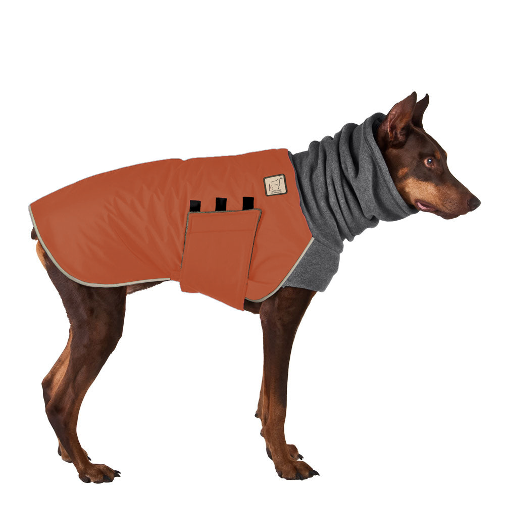 ReCoat Like New: Doberman Pinscher Winter Coat