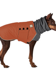 Doberman Pinscher Winter Coat