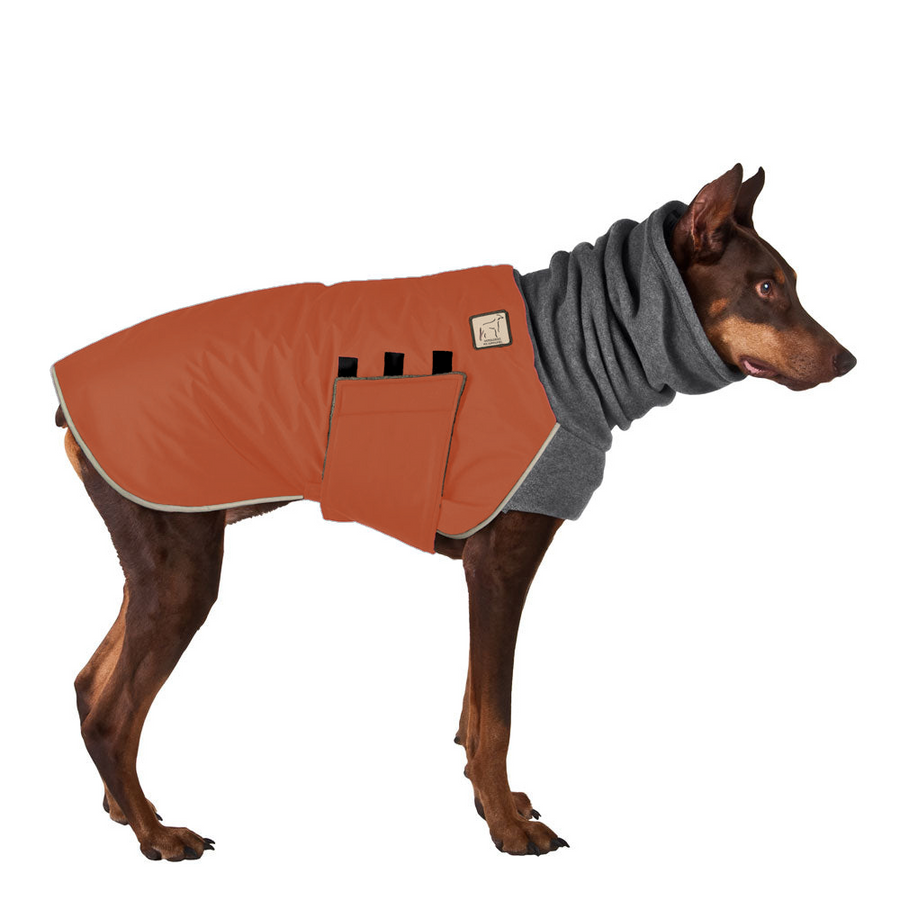 Doberman Pinscher Winter Coat