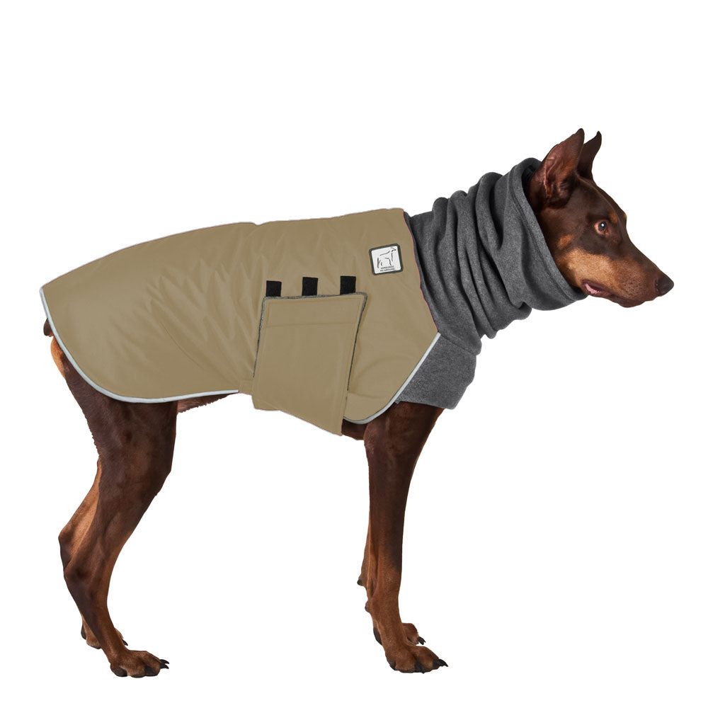 Doberman Pinscher Winter Coat