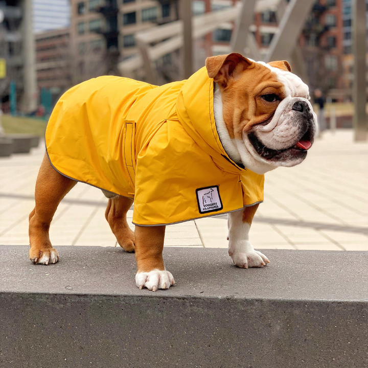 Bulldog top winter jacket