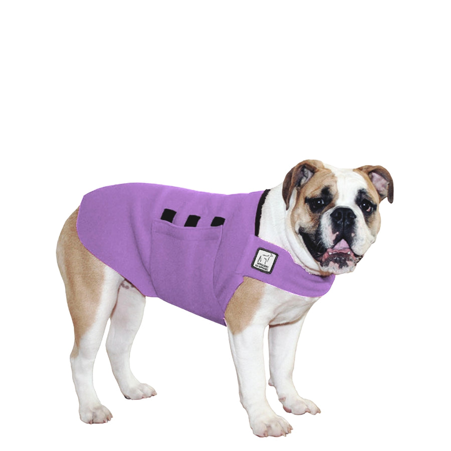 English Bulldog Tummy Warmer