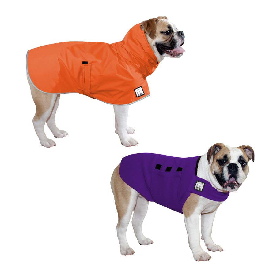 English Bulldog Camper Bundle