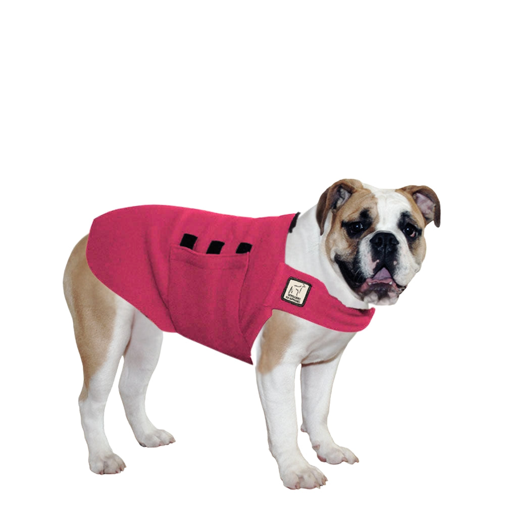 English Bulldog Tummy Warmer