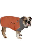 English Bulldog Winter Coat