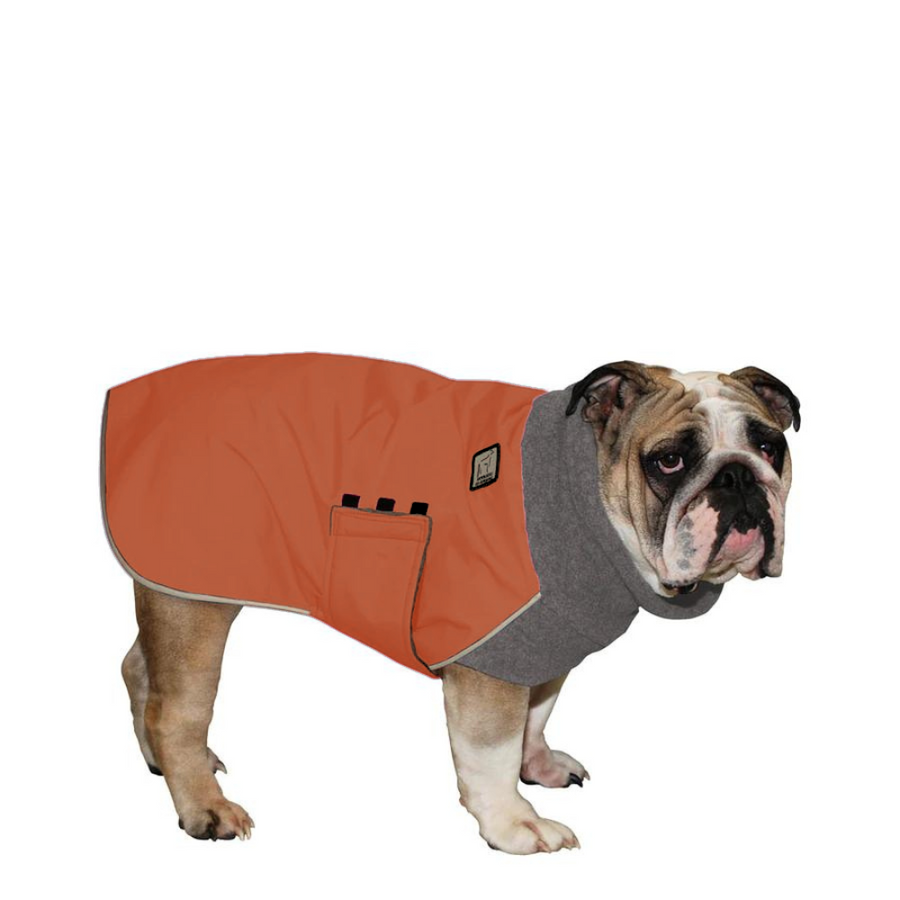 English Bulldog Winter Coat