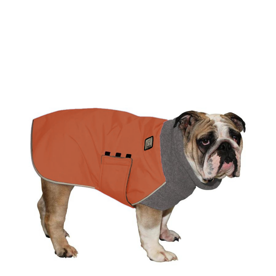 Best winter coat for english bulldog hot sale