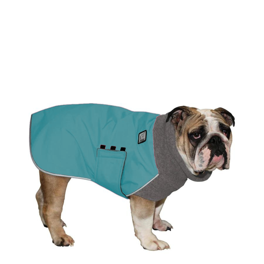 English Bulldog Winter Coat