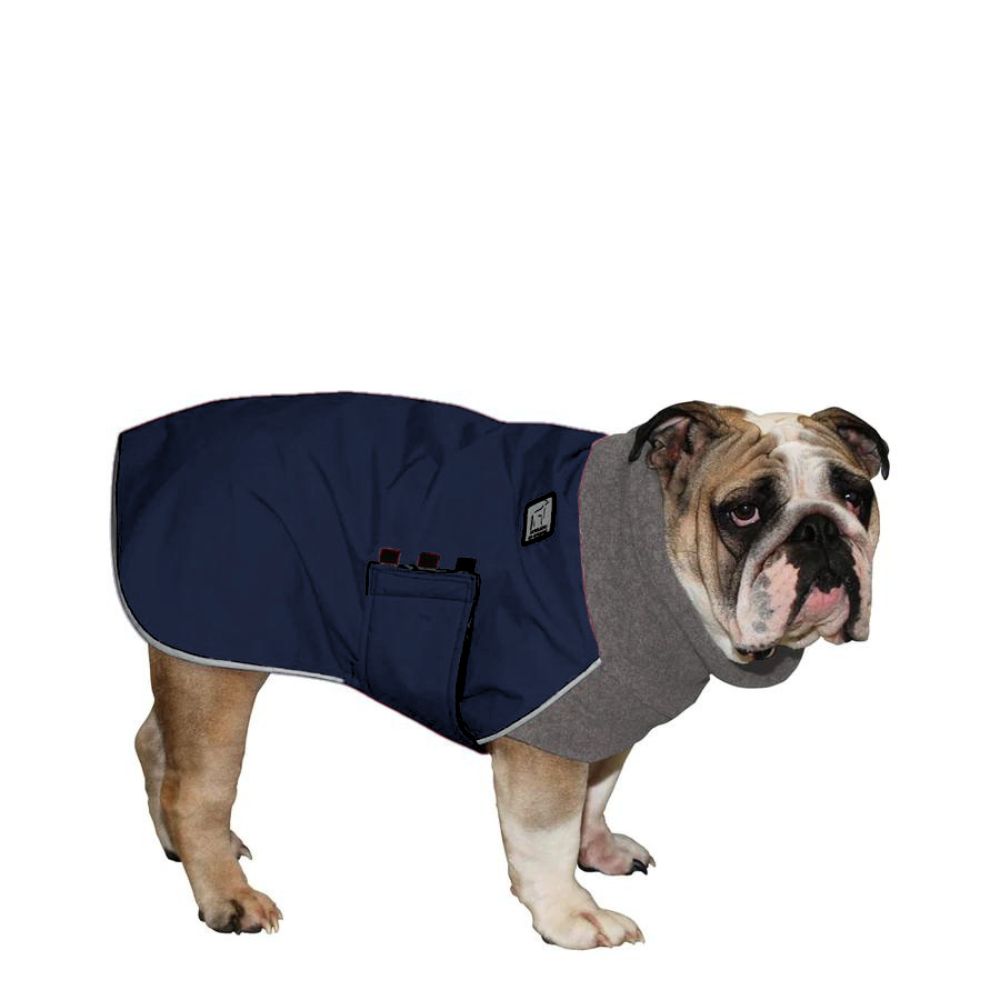 English Bulldog Winter Coat