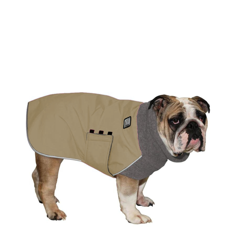 English Bulldog Winter Coat
