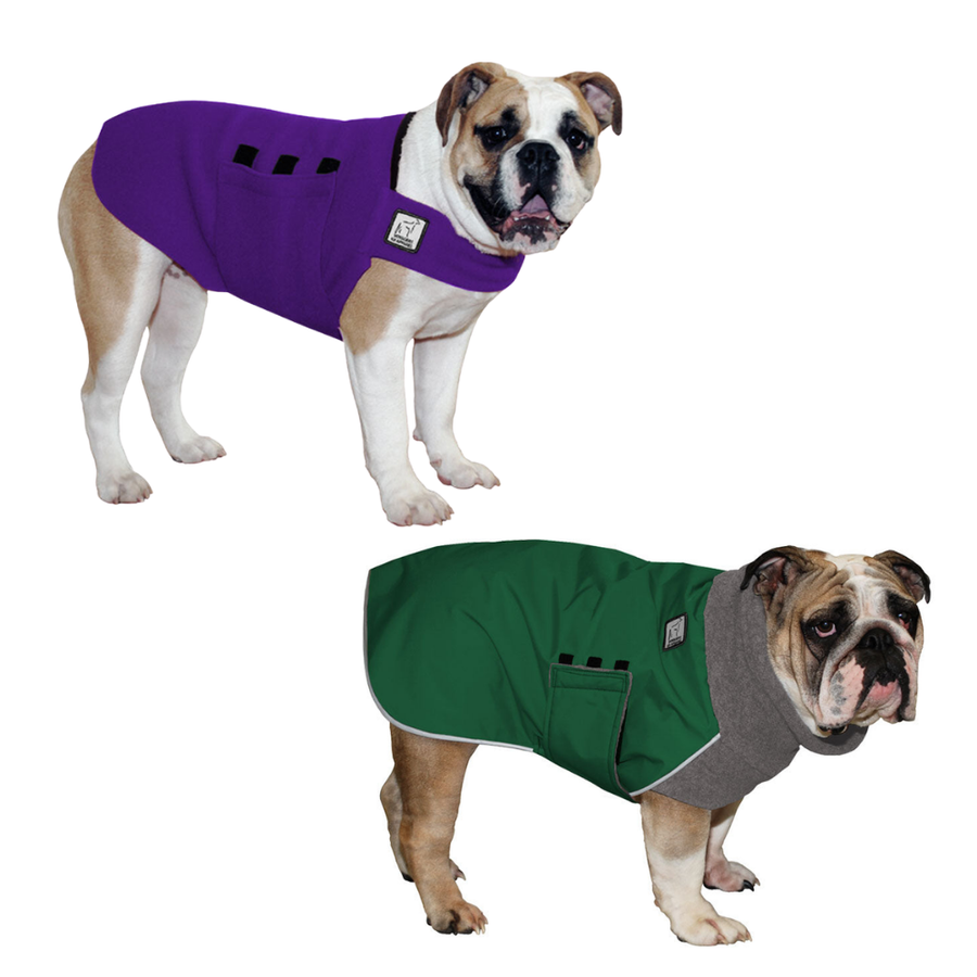 English Bulldog Rover Bundle