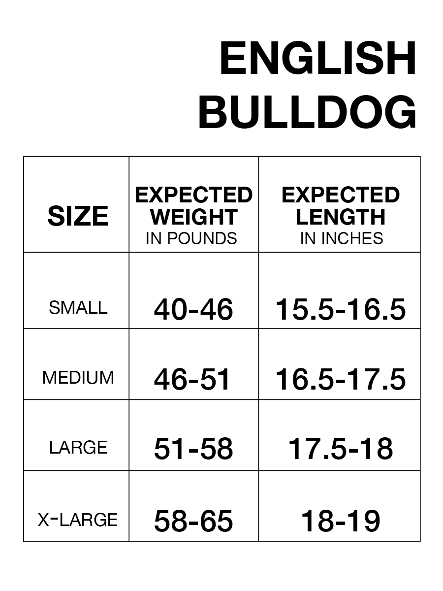 English Bulldog Cooling Coat