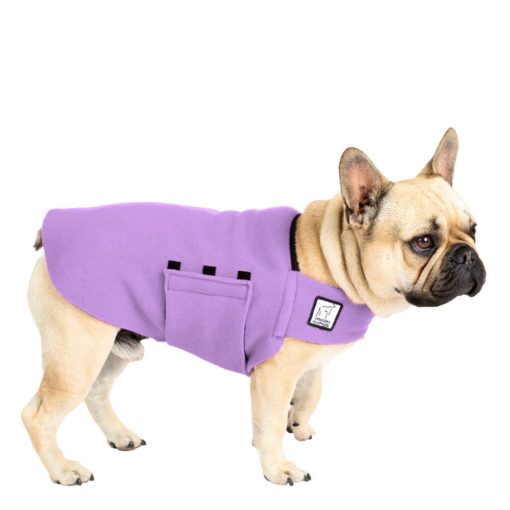 French Bulldog Tummy Warmer