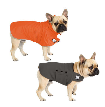 French Bulldog Camper Bundle