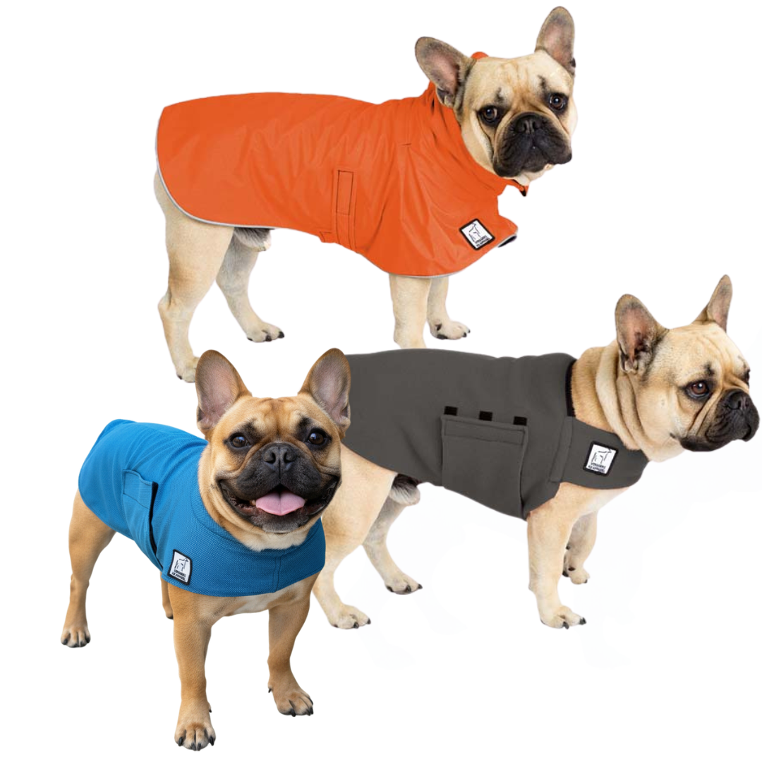 French Bulldog Nomad Bundle