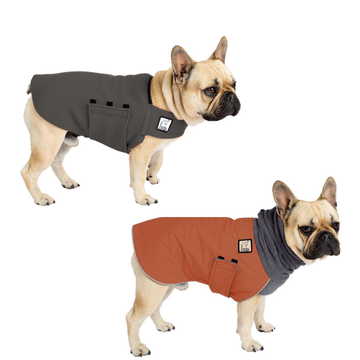 French Bulldog Rover Bundle