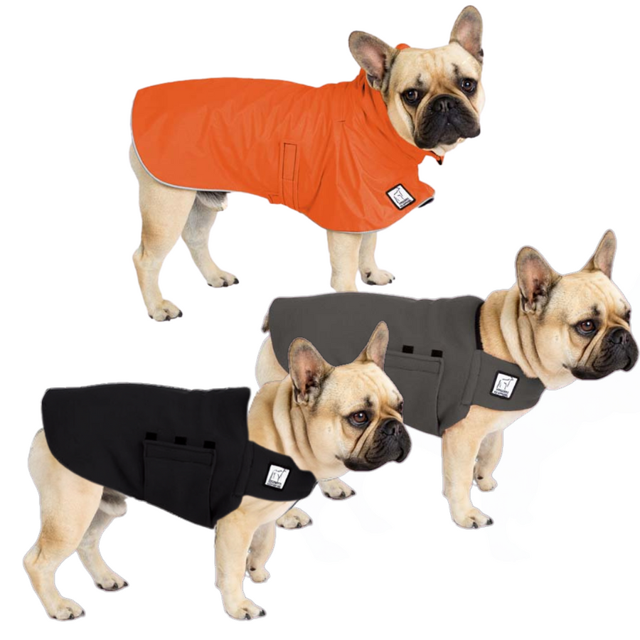 French Bulldog Fall Essentials Bundle