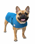 French Bulldog Cooling Coat