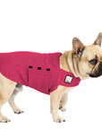 French Bulldog Tummy Warmer