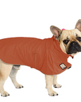 French Bulldog Raincoat