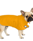 French Bulldog Raincoat