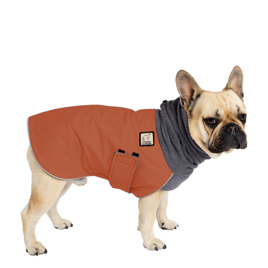 French bulldog coats clearance