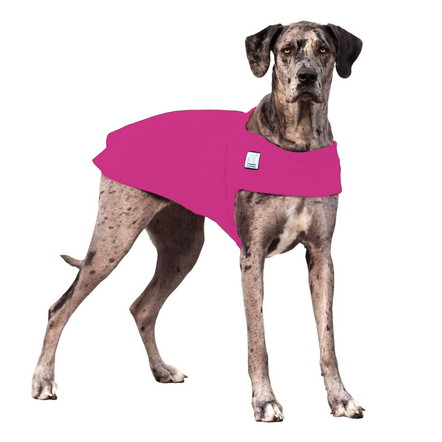 Great dane life vest best sale