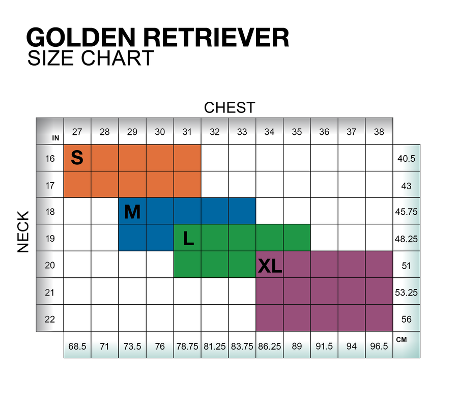 ReCoat ♻️ Golden Retriever Tummy Warmer