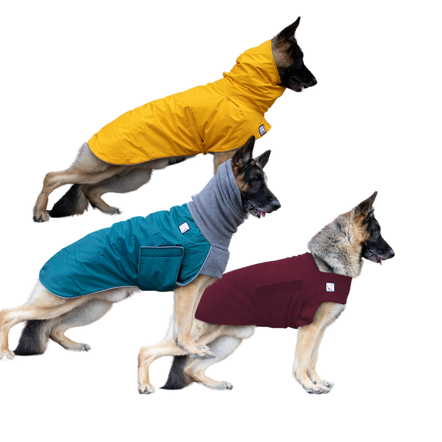 German Shepherd Adventurer Bundle