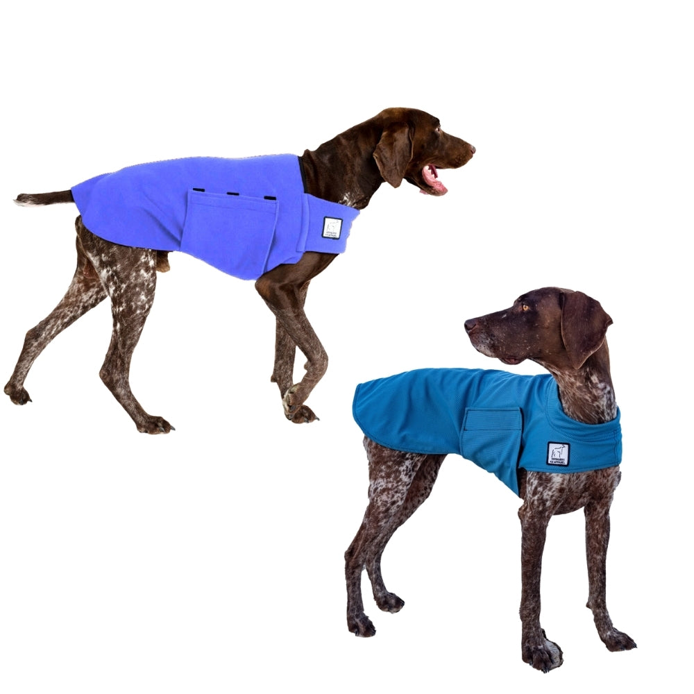 German Shorthaired Hiker Bundle