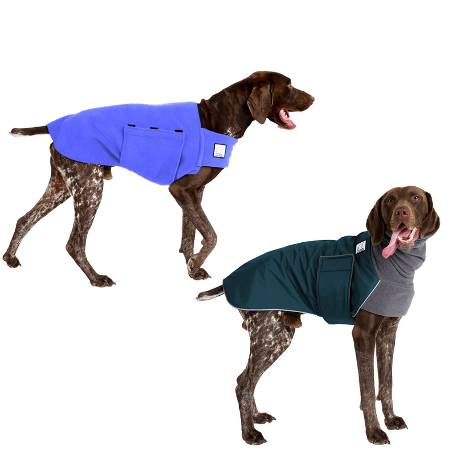 German Shorthaired Rover Bundle