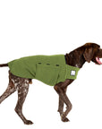 German Shorthaired Pointer Tummy Warmer