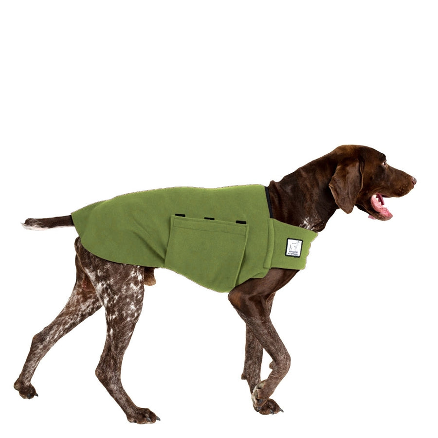 German Shorthaired Pointer Tummy Warmer