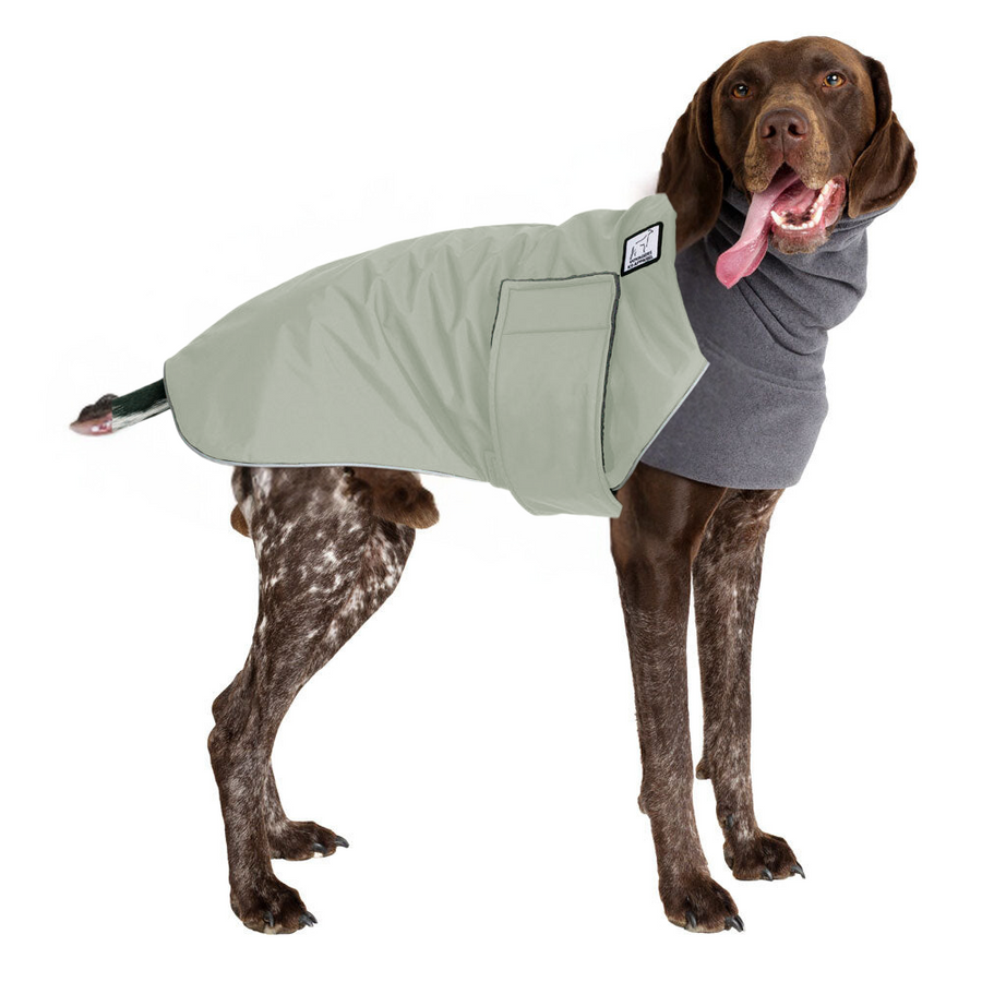 German Shorthaired Pointer Winter Coat