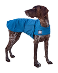 GSP German Shorthaired Pointer Cooling Coat