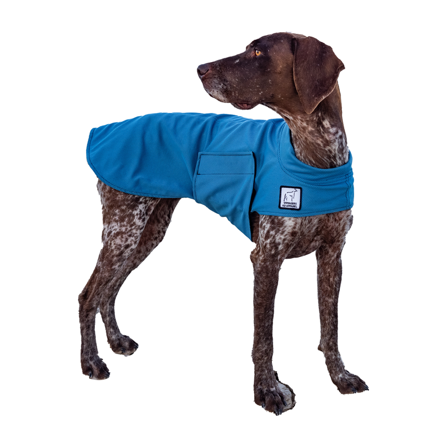 GSP German Shorthaired Pointer Cooling Coat