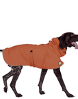 German Shorthaired Pointer Raincoat