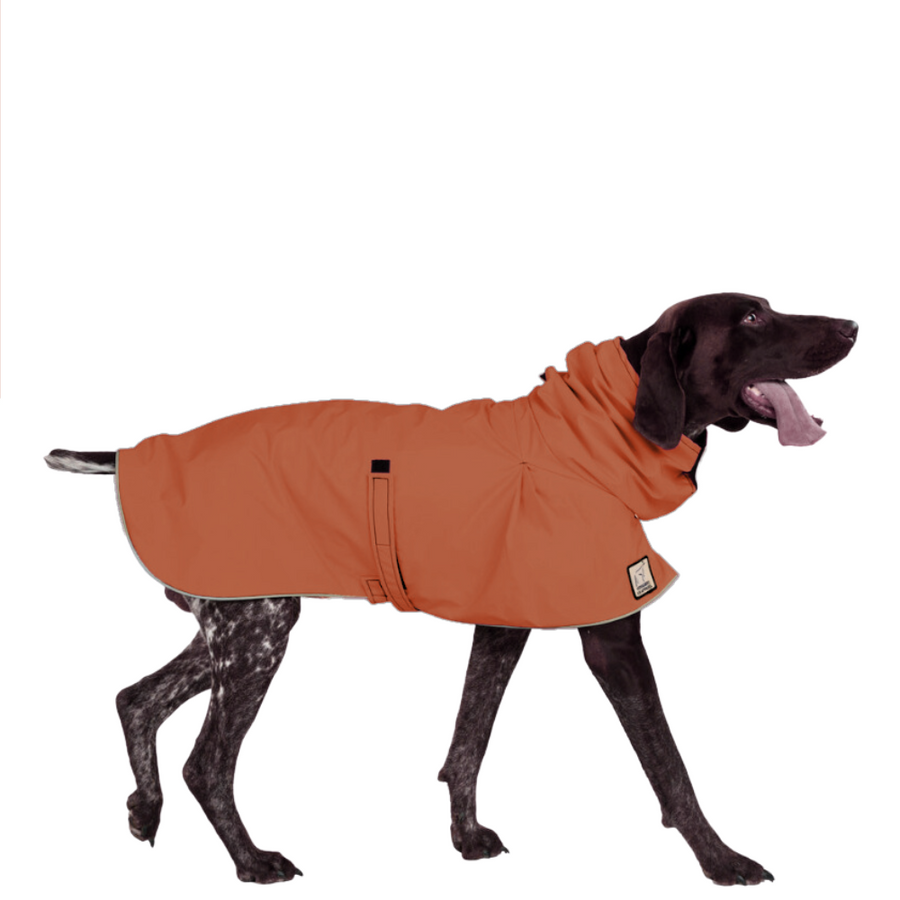 German Shorthaired Pointer Raincoat