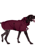 German Shorthaired Pointer Raincoat