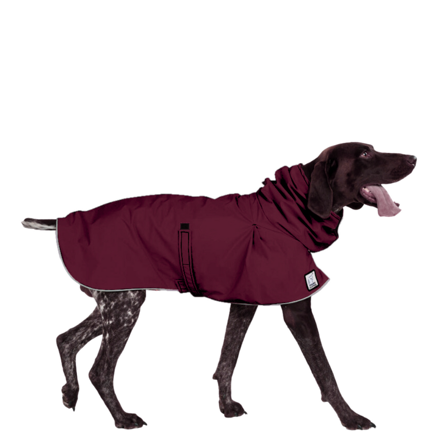 German Shorthaired Pointer Raincoat