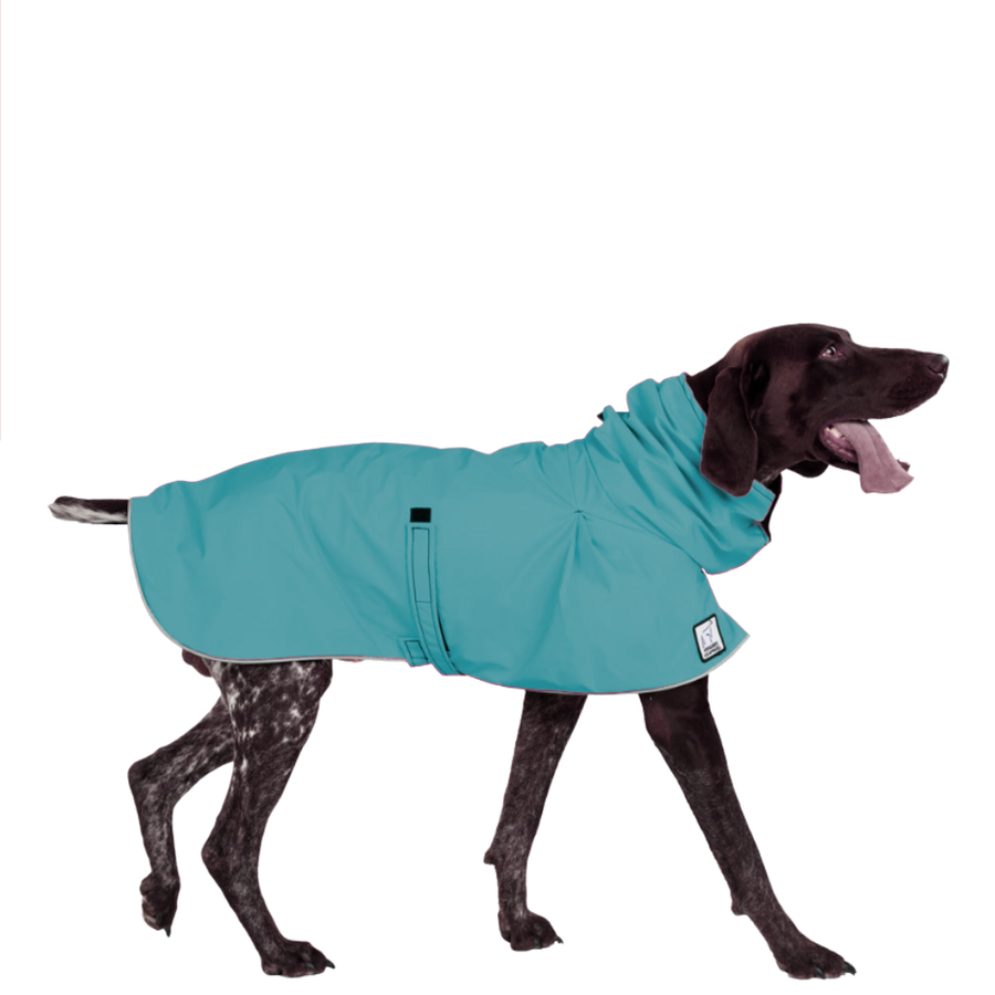 German Shorthaired Pointer Raincoat